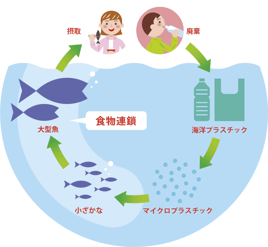 廃棄→海洋プラスチック→マイクロプラスチック→小ざかな→大型魚→摂取